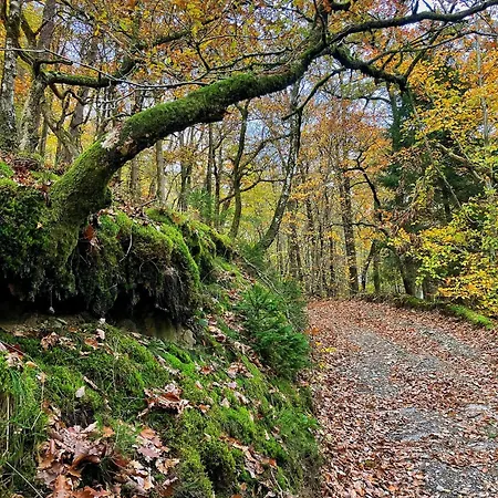 Caravan Hereumond * Cugnon